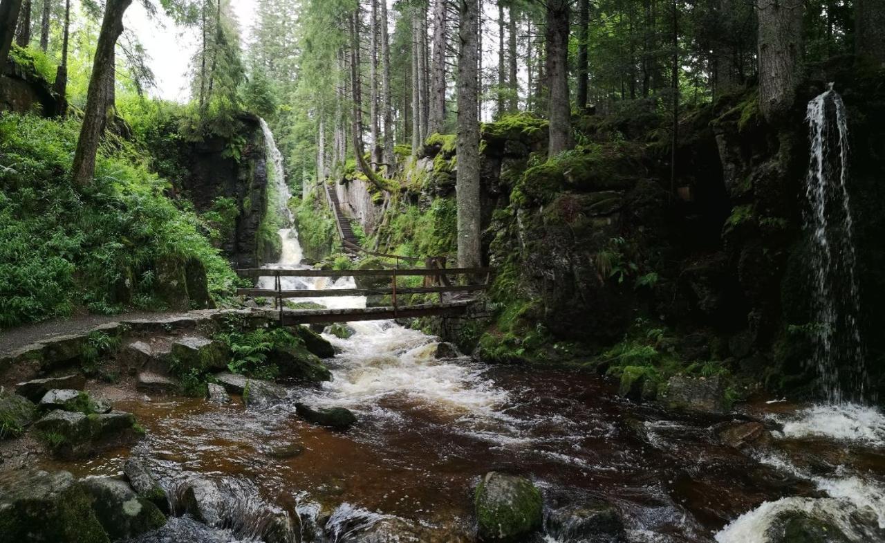 C2 Albmatte-Fewo , Hallenbad Aussenbecken Massagen Nebenan St. Blasien Exterior photo