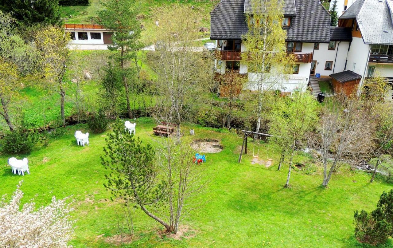 C2 Albmatte-Fewo , Hallenbad Aussenbecken Massagen Nebenan St. Blasien Exterior photo