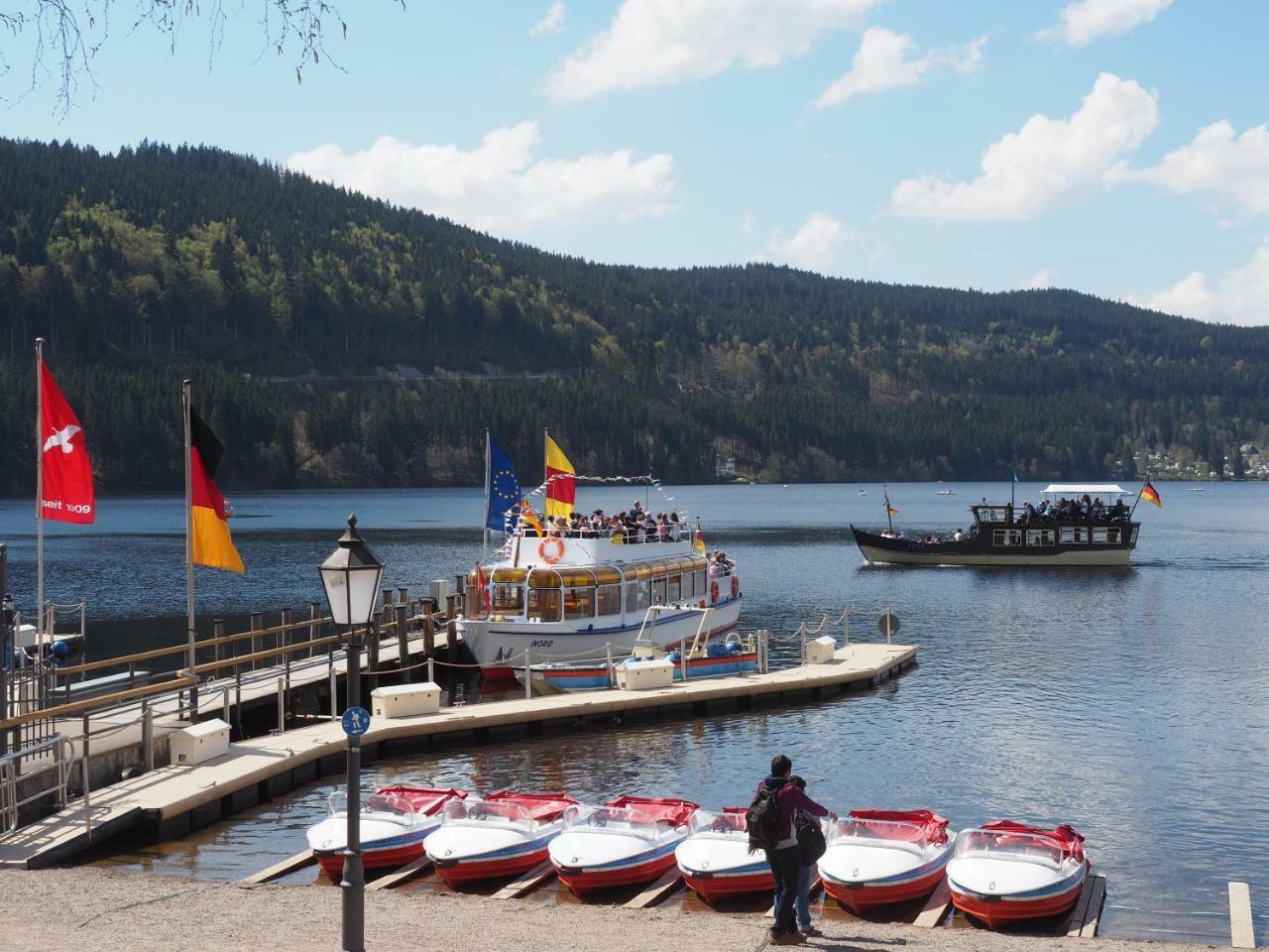 C2 Albmatte-Fewo , Hallenbad Aussenbecken Massagen Nebenan St. Blasien Exterior photo
